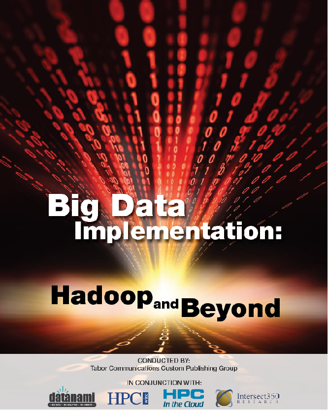 Big Data Implementation: Hadoop and Beyond