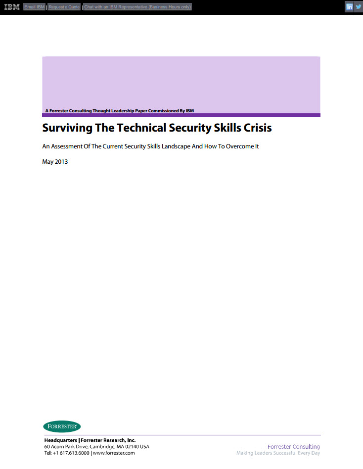 Surviving the technical security crisis