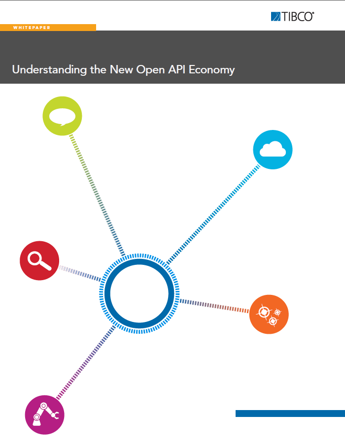 Understanding the New Open API Economy