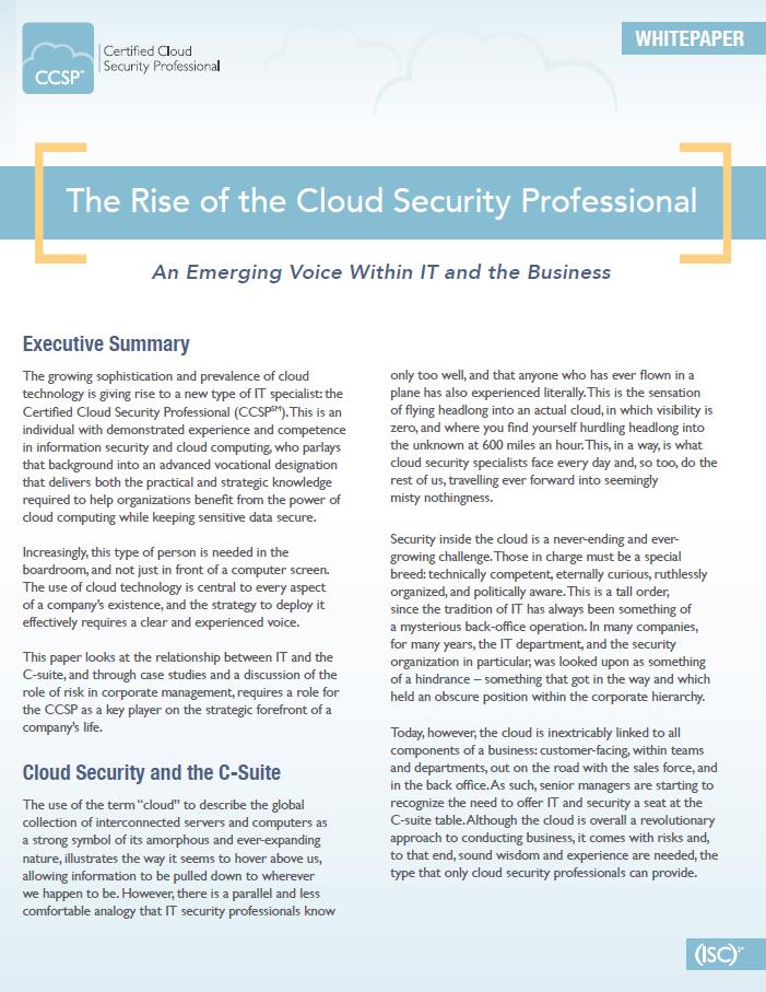 The Rise of the Cloud Security Professional