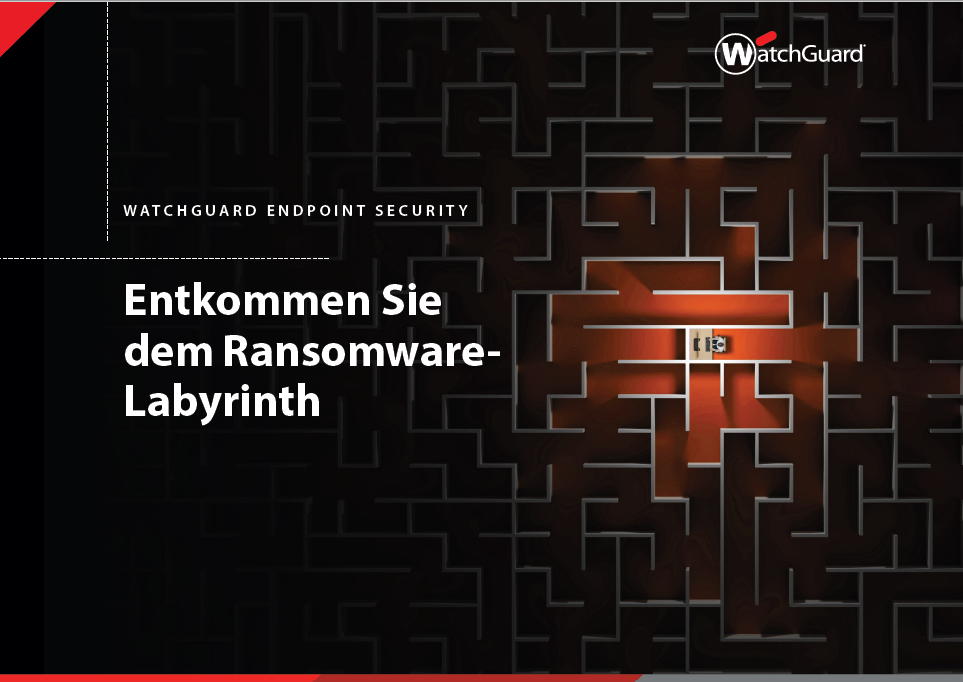 Entkommen Sie dem Ransomware-Labyrinth