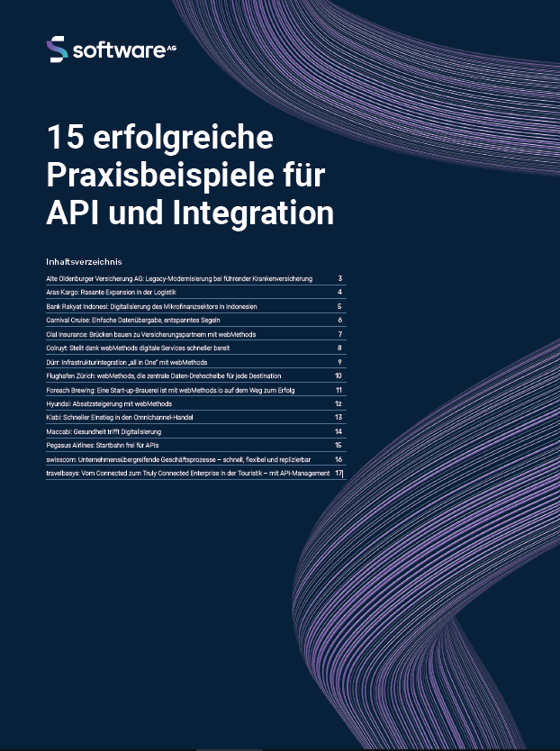 15 erfolgreiche Praxisbeispiele für API und Integration